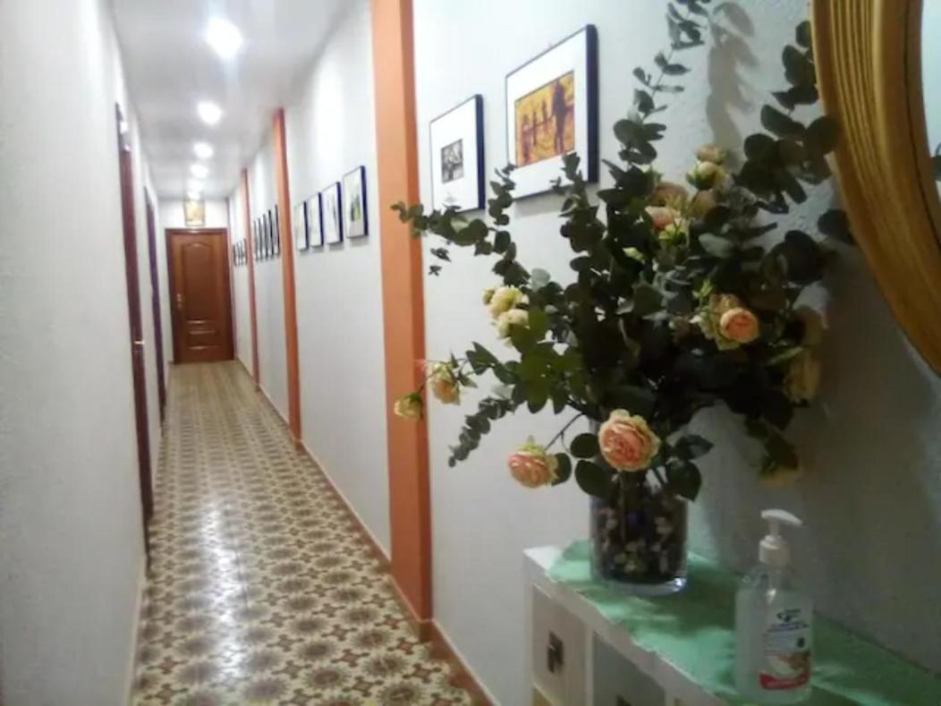 Las Golondrinas Zaragoza Habitacion Individual מראה חיצוני תמונה